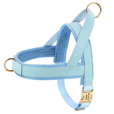 Personalised Dog Harness/Dog Harness