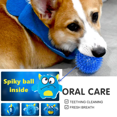 Interactive Squeaker Dog Toy