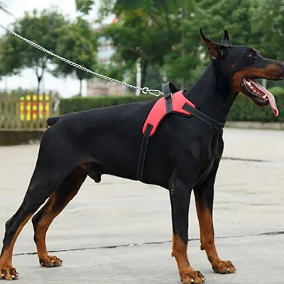 Dog and Adjustable Harness with Leash Reflective and Breathable