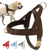 Personalised Dog Harness/Dog Harness