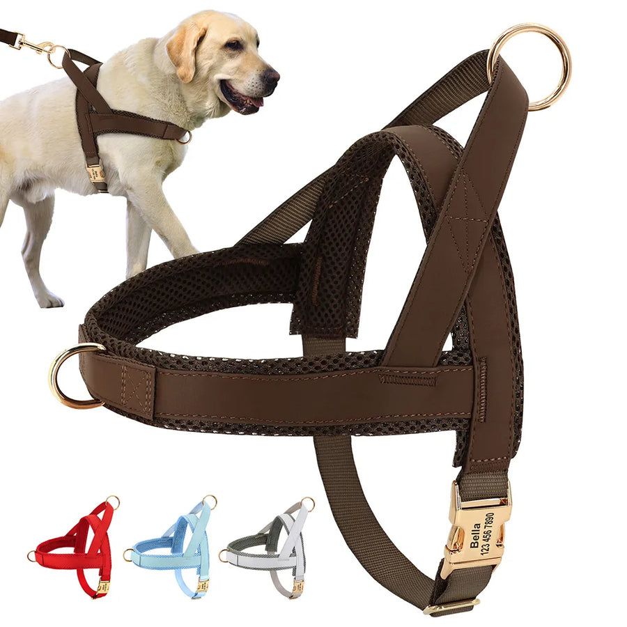 Dog best sale harness personalised