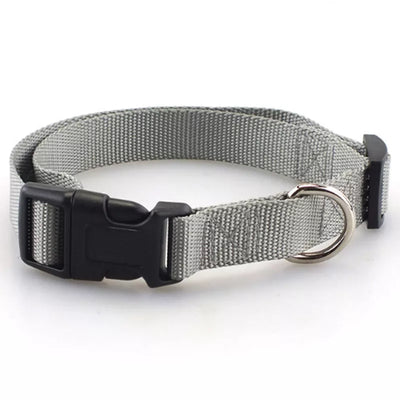 Nylon Adjustable Dog Collar/Dog collar