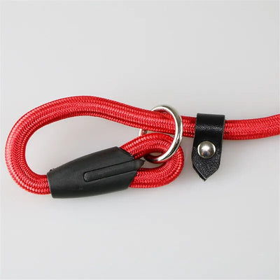 Slip Lead/Dog Lead