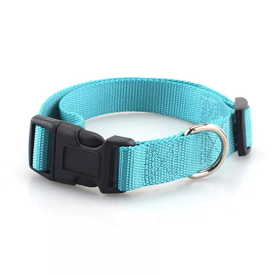 Nylon Adjustable Dog Collar/Dog collar