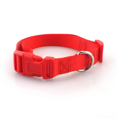 Nylon Adjustable Dog Collar/Dog collar