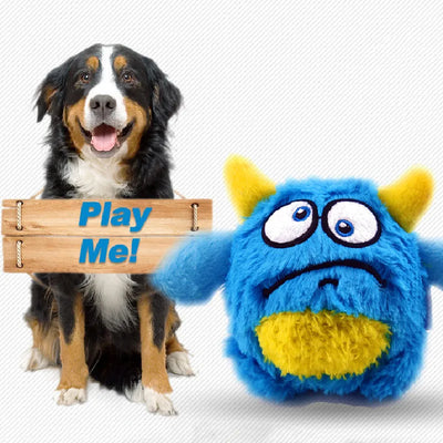 Interactive Squeaker Dog Toy