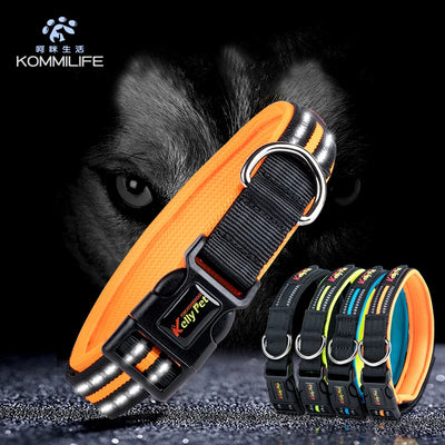 Reflective Dog Collar/Dog Collar