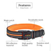 Reflective Dog Collar/Dog Collar