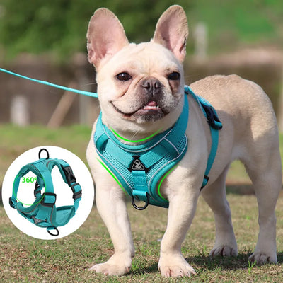 small dog harness/Dog Harness/No Pull Dog Harness