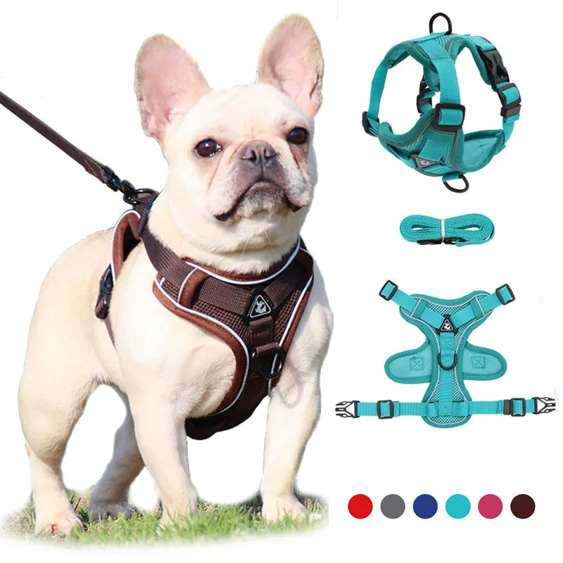 No Pull Small Dog Harness and Leash Set