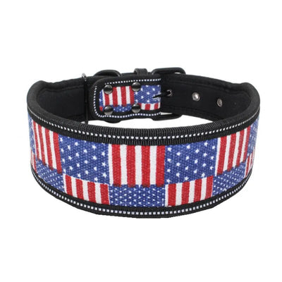 dog collar/big dog collar/heavy duty dog collar