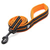 Reflective Dog leash/Dog Leash