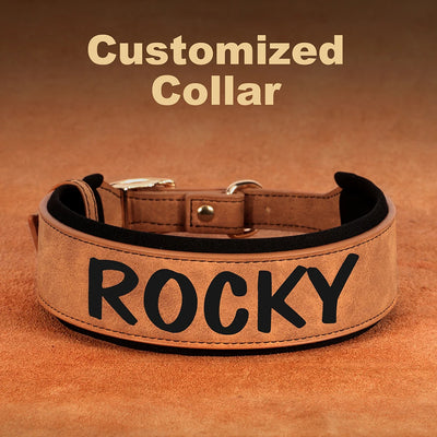 Personalized PU Leather Padded Dog Collar