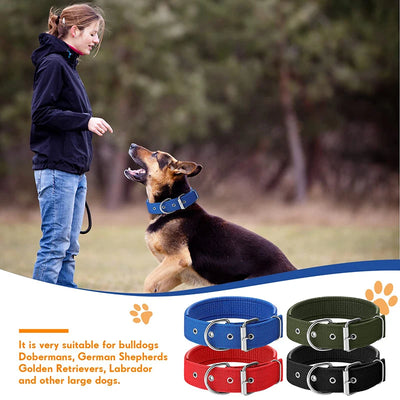 Heavy Duty Dog Collar/Dog Collar