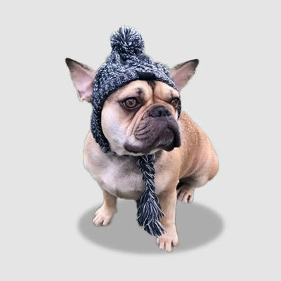 Winter Dog Hats