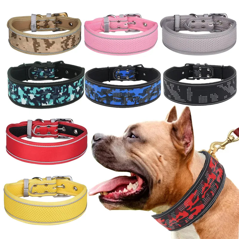 dog collar/big dog collar/heavy duty dog collar