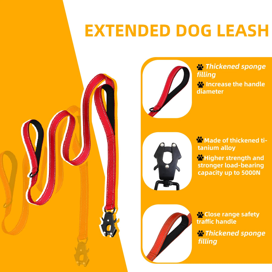 Heavy Duty Dog Leash with Soft Padded Handles & Auto Lock Frog Clip