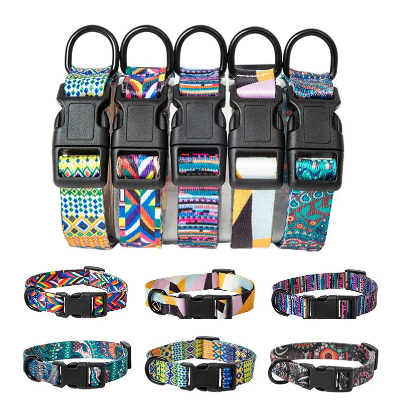 Dog Collar and Leash Set