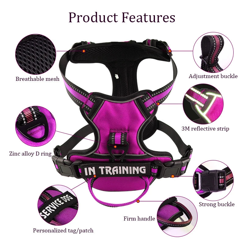 Reflective Dog Harness Can Be Personalized