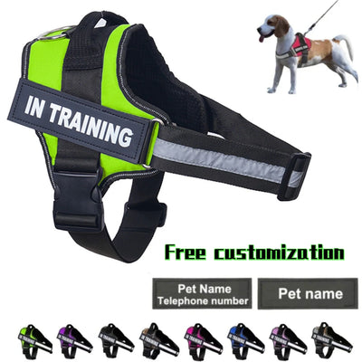 Premium Dog Harness