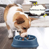 Dog Slow Feeder Bowl/Dog Bowl