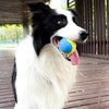 Dogs  Interactive Toys Soft Ball