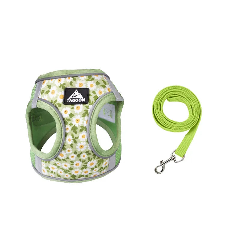 Daisy Small Dog Harness Lead Set