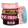 Personalized PU Leather Padded Dog Collar