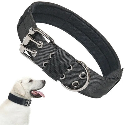 dog collar/Tactical Dog Collar