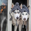 Winter Dog Hats