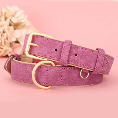 dog collar/suede dog collar