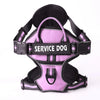 Reflective Dog Harness/Personalized Dog Harness/Dog harness