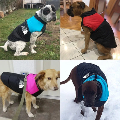 The Dog Face Jacket/Dog Coat