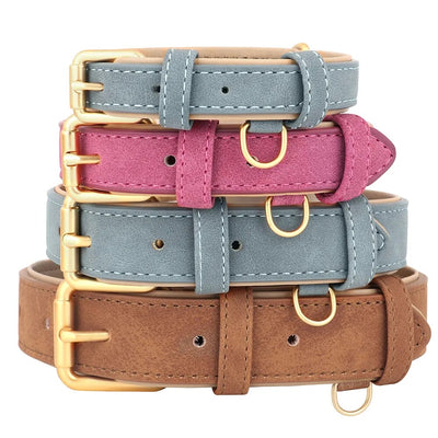 dog collar/suede dog collar