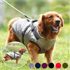 Waterproof Fashion Sports Dog Coat