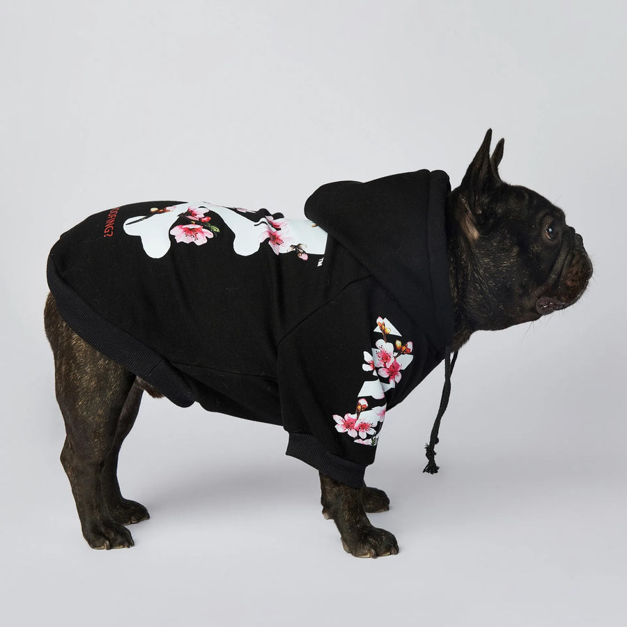 Dog Hoodies/Dog Clothing