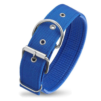 Heavy Duty Dog Collar/Dog Collar