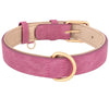 dog collar/suede dog collar