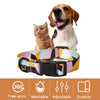 Dog Collar and Leash Set/Dog Collar/Dog Lead