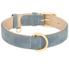 dog collar/suede dog collar