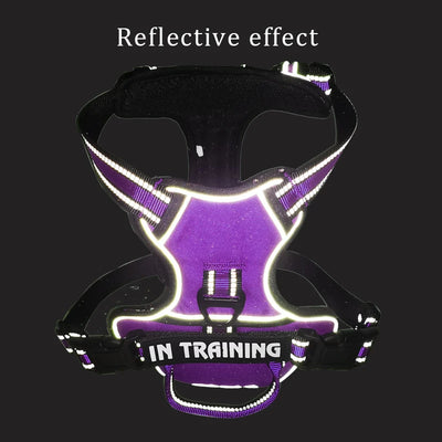 Reflective Dog Harness/Personalized Dog Harness/Dog harness