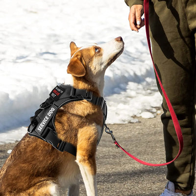 Tactical Dog Harness/Dog Harness